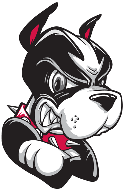 Boston University Terriers 2005-Pres Partial Logo Print Decal